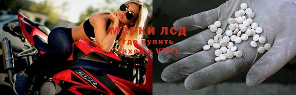 стафф Армянск