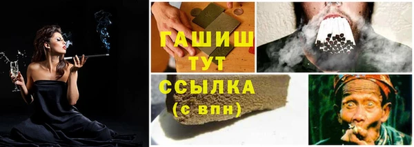 стафф Армянск