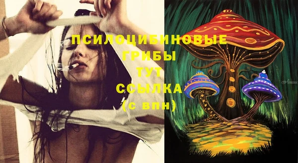 а пвп мука Аркадак