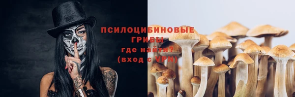 спайс Арсеньев