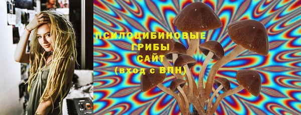 спайс Арсеньев