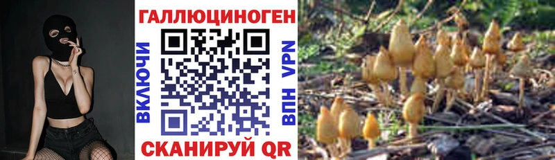 наркота  Тырныауз  Галлюциногенные грибы мицелий 
