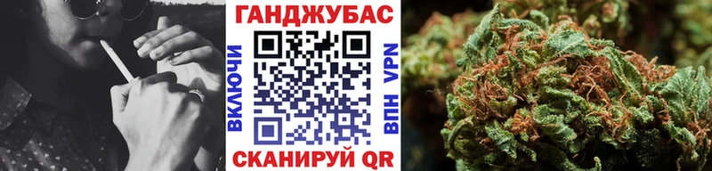 дарнет шоп  Тырныауз  Конопля план 